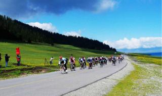 陪你一起看草原原唱 陪你一起看草原原唱