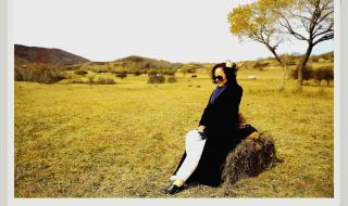 陪你一起看草原原唱 陪你一起看草原原唱